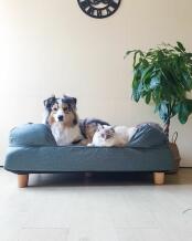 Lit Bolster Large - Runwithmydog Instagram