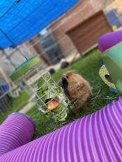 Cleo profite de sa manGeoire ! 