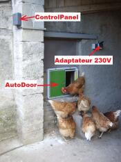 Montage Adaptateur 230V AutoDoor sur poulailler maçonné