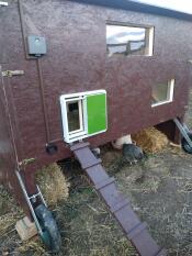 Poulailler en bois avec Omlet porte de poulailler automatique verte