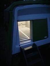Omlet porte de poulailler automatique verte avec lumière du poulailler allumée
