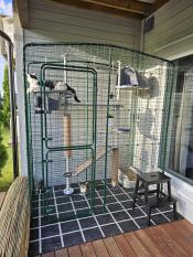 Chat assis sur Freestyle plateforme d'arbre à chat à l'intérieur d'un balcon enclos pour chat.