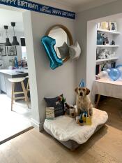 Un chien entouré de cadeaux d'anniversaire, sur son nouveau lit gris