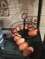 Oeufs dans Omlet oeuf noir skelter