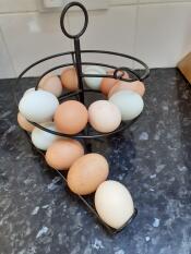 Est superbe avec tous nos œufs de couleurs différentes, un véritable atout pour la cuisine !