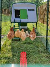 Des filles qui vivent leur meilleure vie de coopérative. 