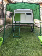 Notre coopérative nouvellement assemblée Eglu Cube .