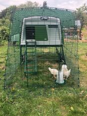 Un nouveau Cube pour quelques jeunes poussins