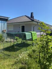 Un poulailler vert avec un parcours de 3 m dans un jardin ensoleillé