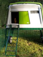 Omlet vert Eglu Cube grand poulailler et parcours pour poules