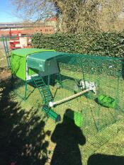 Un grand poulailler vert Cube dans un jardin avec un parcours attaché, une couverture, un perchoir et des bols d'alimentation