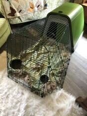 Un clapier Eglu Go pour cochons d'inde installé à l'intérieur.