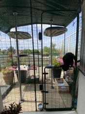 Enclos de balcon collé à la façade pour un accès direct par une porte fenêtre 