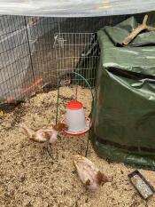 Un couple de mes nouveaux ex batts essayant le cerceau ! 