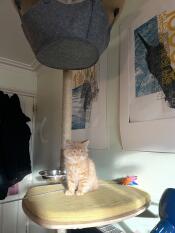 Hamish prend un peu de soleil d'hiver 