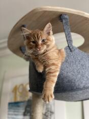 L'endroit préféré de hamish 