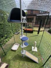 Un arbre à chat extérieur installé à l'intérieur d'un catio