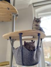 Je l'adore !