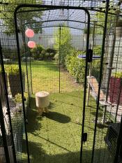 Superbe enclos pour chats avec véranda d'entrée😻😻