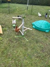 Perchoir à poules sur pied 