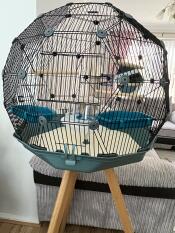 Cage - nouvelle configuration