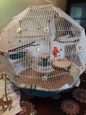 Omlet Geo cage à oiseaux avec cage blanche et base sarcelle