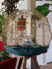 Omlet Geo cage à oiseaux avec Gocage ld, base et pieds sarcelle