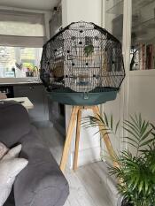 Le nouvel oiseau endeavour dans sa nouvelle cage fantaisie ?