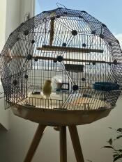 Une cage à oiseaux Omlet Geo .
