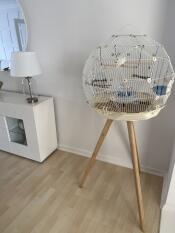 Cage magnifique, gucci mon canari l'adore !