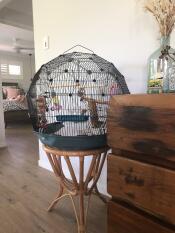 Omlet Geo cage à oiseaux avec cage noire et base sarcelle
