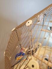 La cage à oiseaux Omlet Geo est une forme merveilleuse.