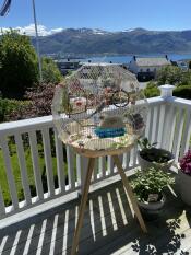 Un oiseau s'est assis dans la cage à oiseaux crème et Gold Geo dehors sur un balcon.