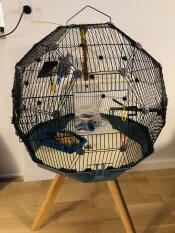 Geo cage pour oiseaux avec porte ouverte avec cage noire, base sarcelle et petits pieds