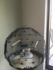 Omlet Geo cage à oiseaux avec cage noire et base sarcelle