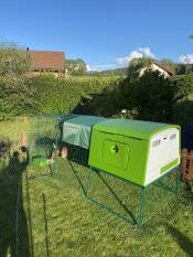 Omlet Eglu Cube