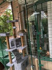 Omlet catio avec arbre à chat et chat dedans