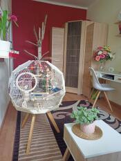 Omlet Geo cage à oiseaux avec cage blanche, base crème et petits pieds dans le salon