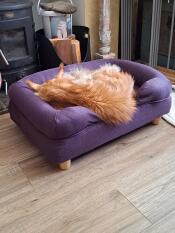 Un chat dormant dans le lit pour chat en forme de traversin violet.