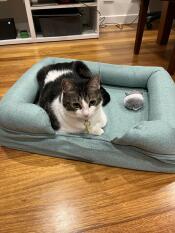 Luna adore son nouveau lit