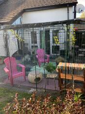 Fifi et son catio