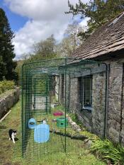 2x2x4 parcours pour chat sur pente fixé à un mur