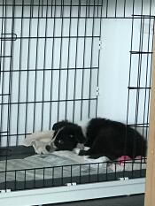 1er dodo dans ma maison ! 