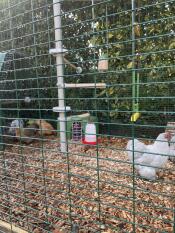 Un poteau avec des perchoirs pour poules et autres accessoires dans un grand parcours