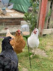 Trois de mes filles appréciant leur nouveau Poppy peck