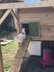 Porte Omlet efficiente !