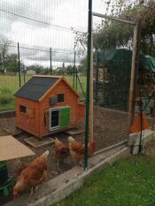 Poulettes