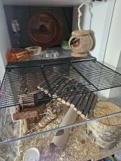 Gros plan sur la cage du hamster Qute 