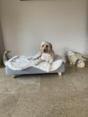 Henry adore son lit pour chien, surtout le topper en fourrure ! 