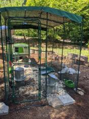 Omlet parcours pour poules avec vert Omlet Eglu Cube grand poulailler et parcours pour poules